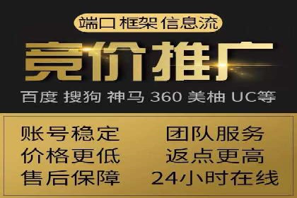 成功案例分享：SEM推广策略的制定与执行